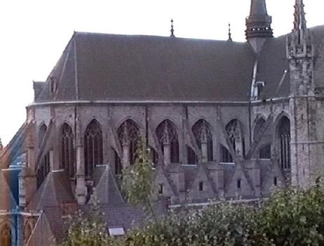 Le côté nord de la collégiale Sainte-Waudru (gothique) à Mons (Hainaut)