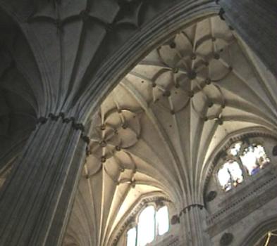 La cathédrale de Salamanque (Castille-et-Léon)
