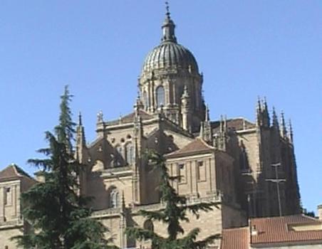 Vue générale de la cathédrale de Salamanque