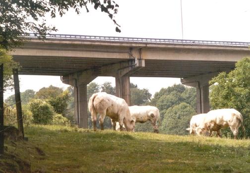 Le viaduc de l'E411 à Sovet, au-dessus du Bocq (province de Namur)