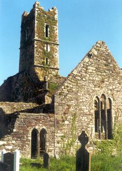Les ruines de l'église abbatiale franciscaine de Timoleague (Irlande)