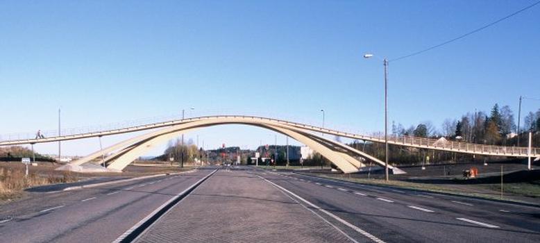 Leonardo's Bridge finally built in Norway