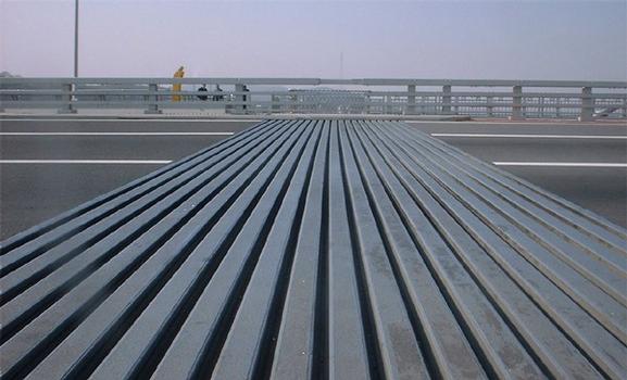 Installed Modular Expansion Joint works flawlessly