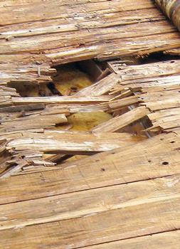 Feuchteschäden an der Holzkonstruktion durch eingeschlossene Feuchtigkeit