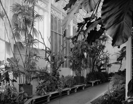 Conservatory of Flowers, Golden Gate Park: Conservatory of Flowers, Golden Gate Park, Golden Gate (HABS, CAL,38-SANFRA,147-11)