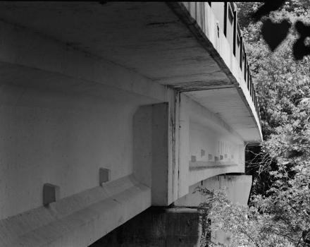 Walnut Lane Bridge (1950), Philadelphia, Pennsylvania (HAER, PA,51-PHILA,715-13)