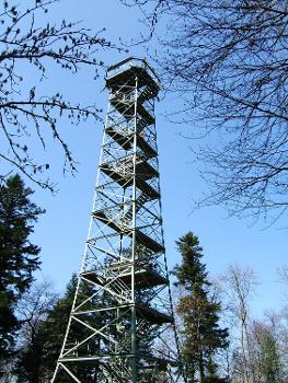 Lemberg Tower