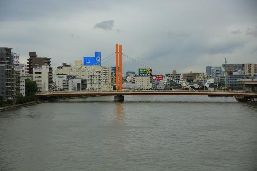 Shin-Brücke