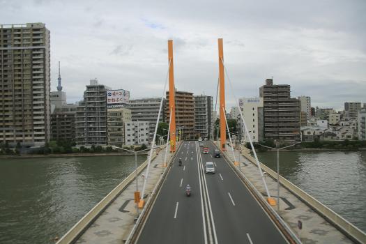 Shin-Brücke