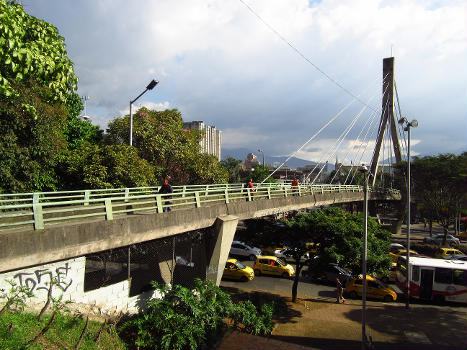 Pasarela sobre la avenida San Juan