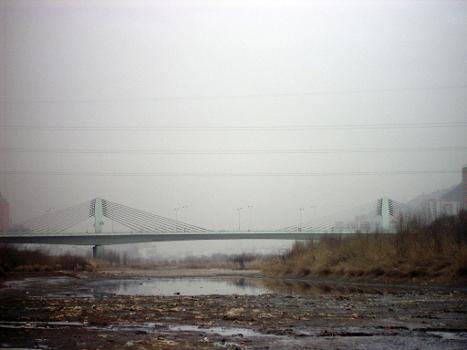 Xiaoxihu Yellow River Bridge