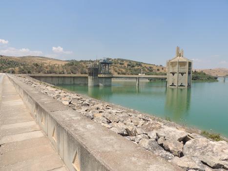Barrage de Sidi-Salem