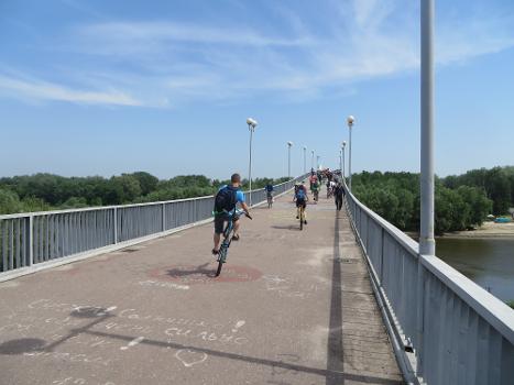 Chernihiv Footbridge