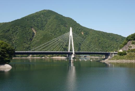 Eisai Bridge