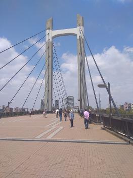 Pont du parc Kiba