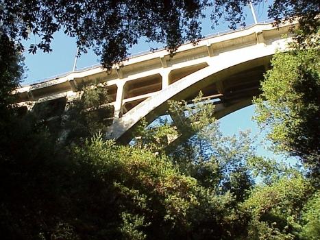 Looking up at the Leimert Bridge from the Sausal Creek Canyon.