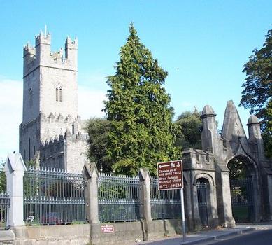 Cathédrale Sainte-Marie - Limerick