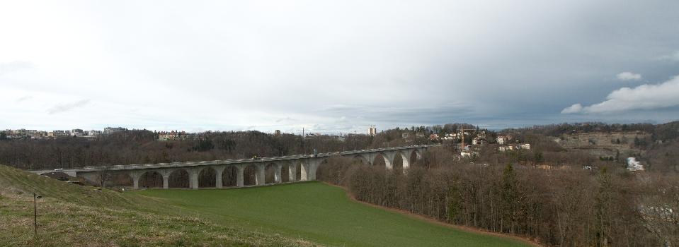 Pont de Pérolles:The "Pont de Pérolles" is a bridge between Marly and the "Boulevard de Pérolles" in Fribourg, Switzerland. 
There are a bus lane and two cycleways.