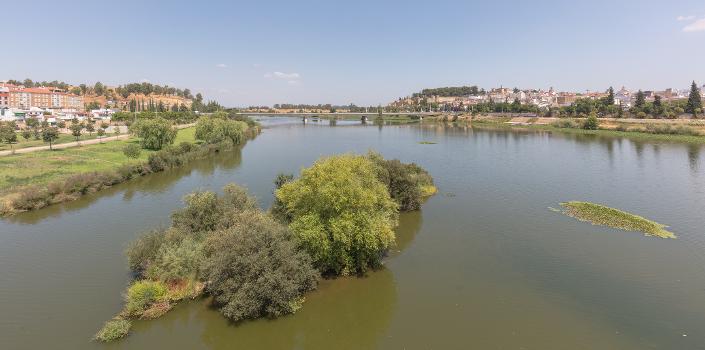 Bridge of Autonomy over the Guadiana River, Badajoz, Spain