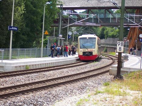 Black Forest Railway (Baden)