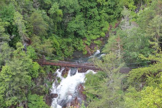 Tallulah Gorge swinging bridge