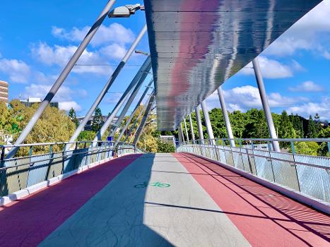 The Goodwill Bridge, Brisbane, Queensland