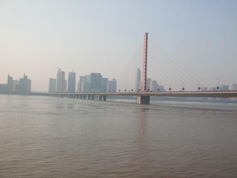 Third Qiantang River Bridge, from southwest