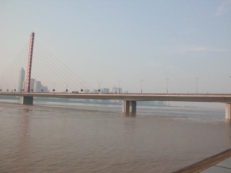 Third Qiantang River Bridge, from southwest
