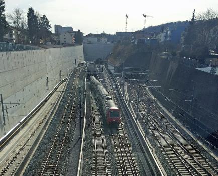 Portails de trois tunnels ferroviaires à Oerlikon, Zurich : (de gauche à droite) Weinbergtunnel, Wipkingertunnel, Käfergtunnel:Un train de banlieue sort du tunnel du Weinberg en provenance de la gare centrale
