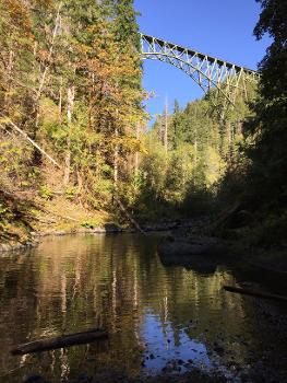 Decommissioned railroad bridge over Vance Creek, Washington