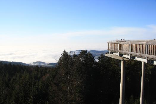 Waldwipfelweg Sankt Englmar-Maibrunn:In beeindruckender Panoramalage führt der Waldwipfelweg Sankt Englmar von der Ausflugsgaststätte Woid-Wipfe-Häusl scheinbar endlos in den weiß-blauen Himmel über dem Naturpark Bayerischer Wald.