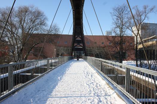 Winterimpression an der Oder bei Frankfurt (Oder) Brücke zur Insel Ziegenwerder