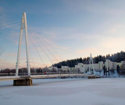 Ylistö Bridge in winter:View from a beach of Mattilanniemi.
