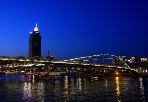 Jin Fu Bridge in Tianjin