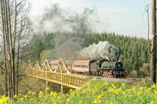 El Salto Rail Viaduct