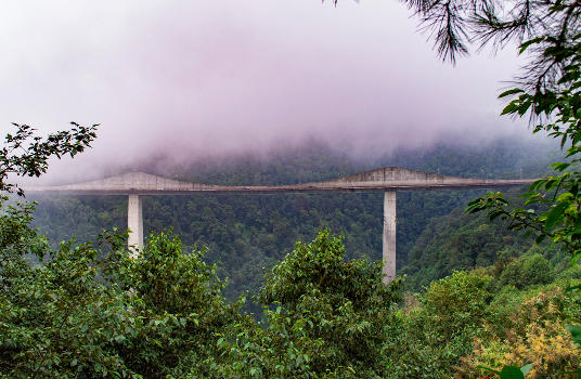 Texcapa Bridge