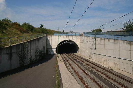 Southern portal of the Aegidienberg Tunnel