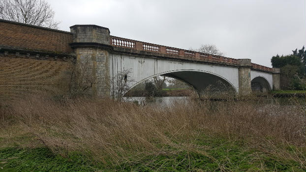 Albert Bridge