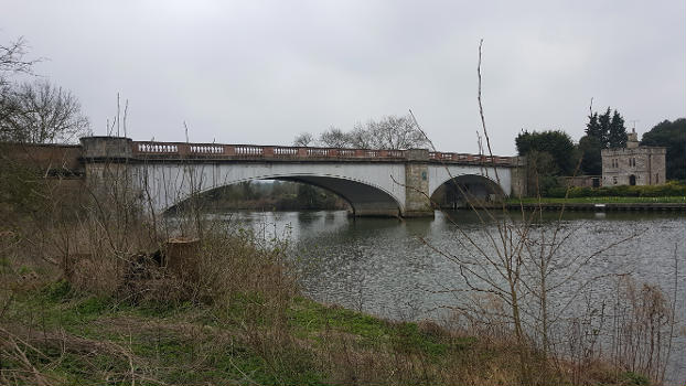 Albert Bridge