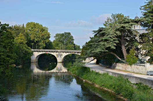 Cèdre du Liban au bord de la Charente, pont de Saint-Cybard, Angoulême, Charente, France.