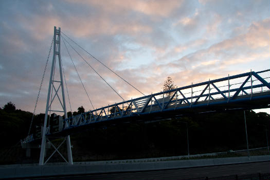 Footbridge between the suburbs of Hillsborough and Onehunga