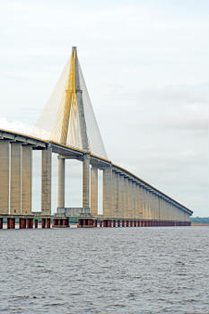 The Rio Negro Bridge is a cable-stayed bridge over the Rio Negro, 3,595 metres (11,795 ft) in length that links the cities of Manaus and Iranduba.