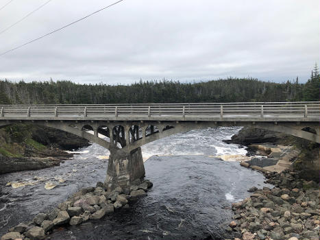 Ellis Memorial Bridge