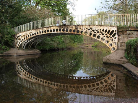 Linn Park Bridge