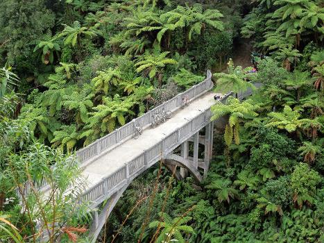 Mangapurua Bridge