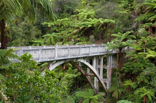 The Bridge to Nowhere - about a 40 minute walk from the bank of the Whanganui River.