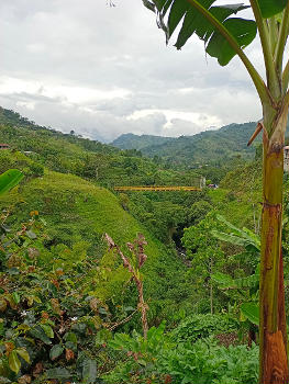 Puente del Cañón de la Quebrada Volcanes