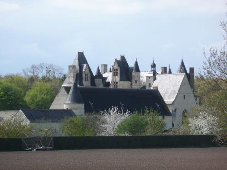 Chateau de Boumois