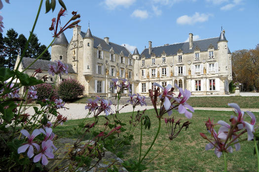 Château de Terre Neuve:Vue du château depuis l'esplanade