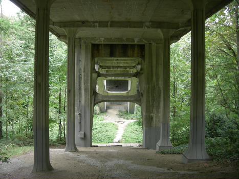 Cowen Park Bridge